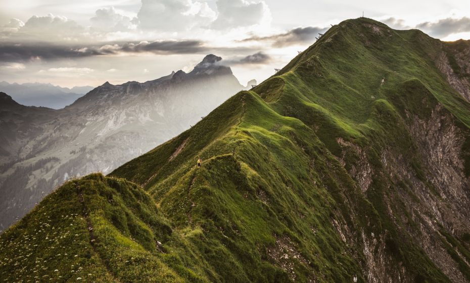 __NO_NAME__ __NO_NAME__