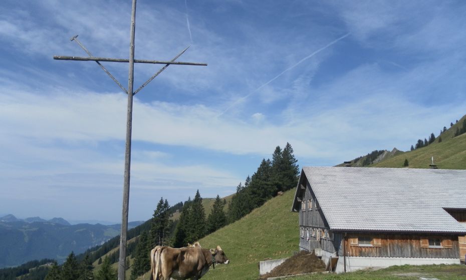 Alpe Lingenauere Alpe Lingenauere