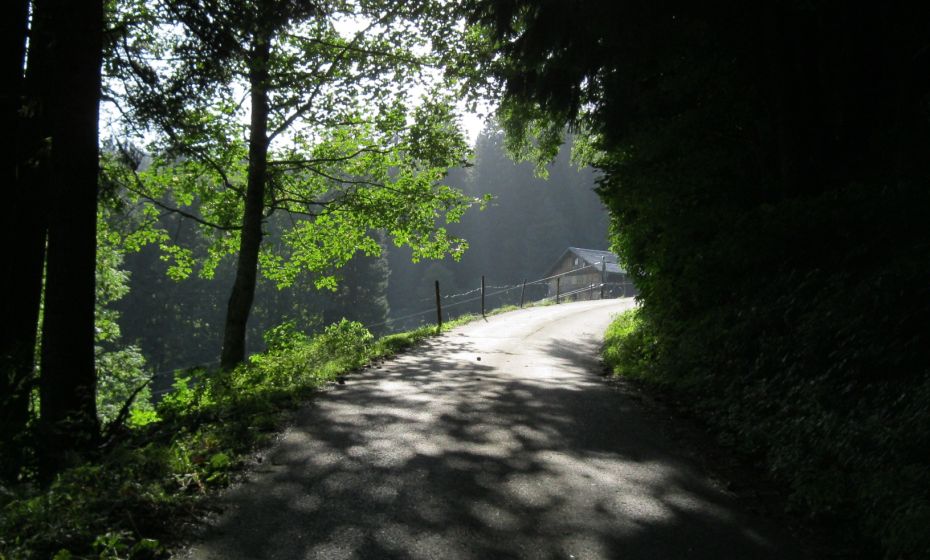 Auf dem Klausberger Weg Auf dem Klausberger Weg