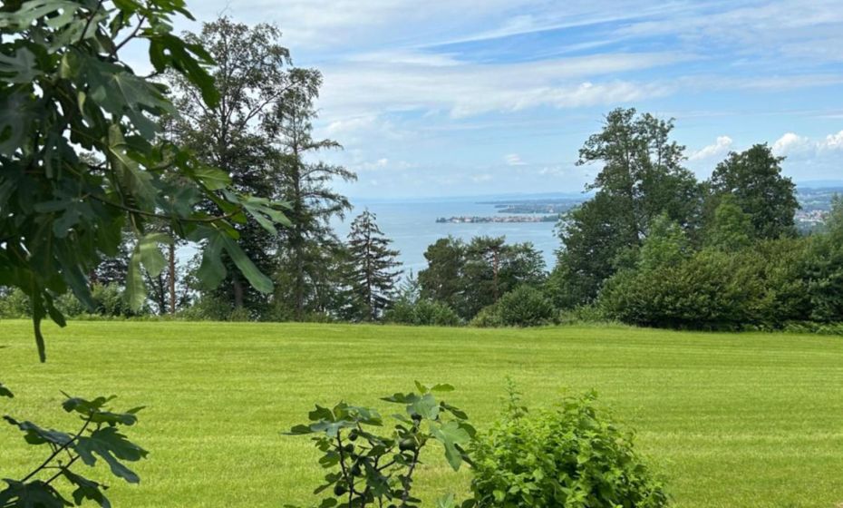 Seeblick Appartements Henle