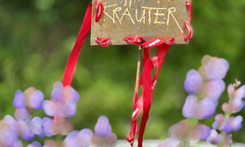 Probiar Amol Weg - Hotel Zerres Probiar Amol Weg - Hotel Zerres