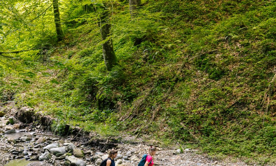 Wanderung Hohenweiler (c) Jessica Lerchenmueller (9)