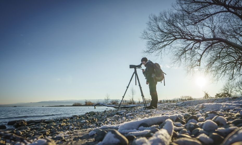 Birdwatching Rheinspitz Johanna Kronberger