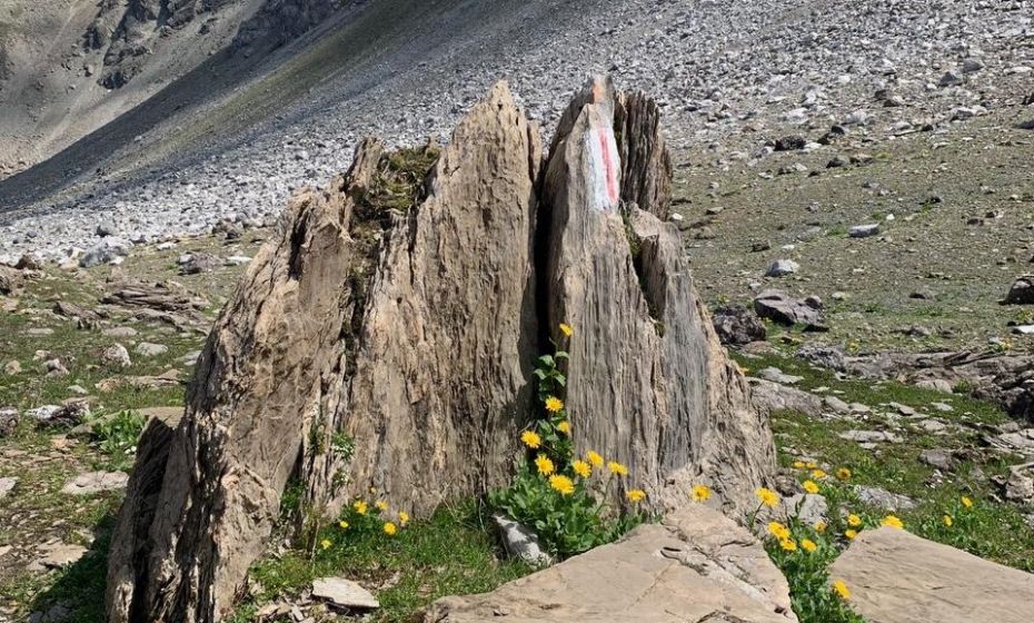 __NO_NAME__ __NO_NAME__