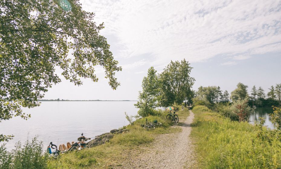 Hard Grüner Damm Hard Grüner Damm