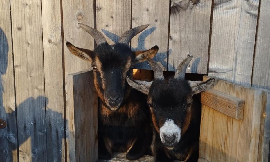 Haus Abendrot Haus Abendrot