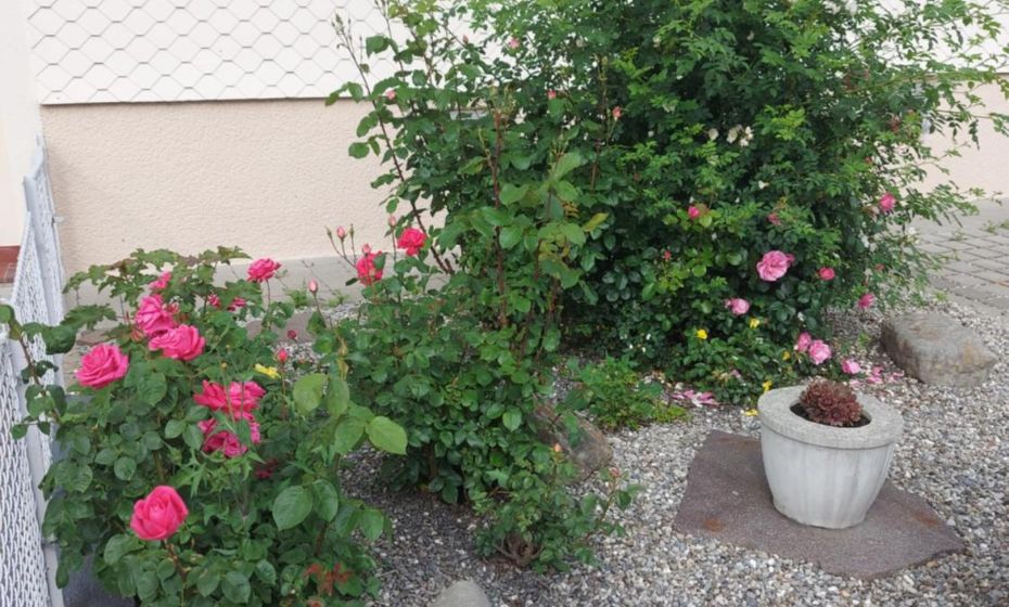 Ferienhaus und Ferienappartements Brunner