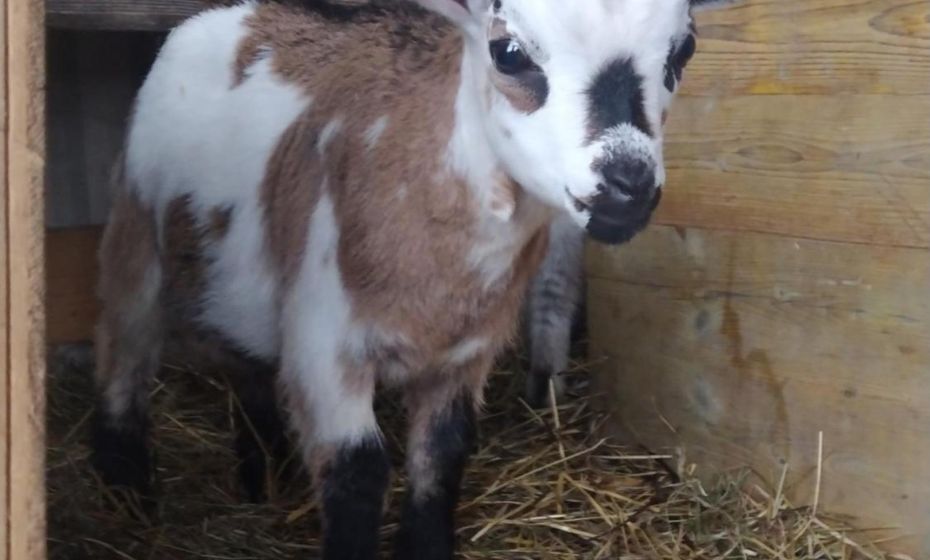 Haus Abendrot Haus Abendrot