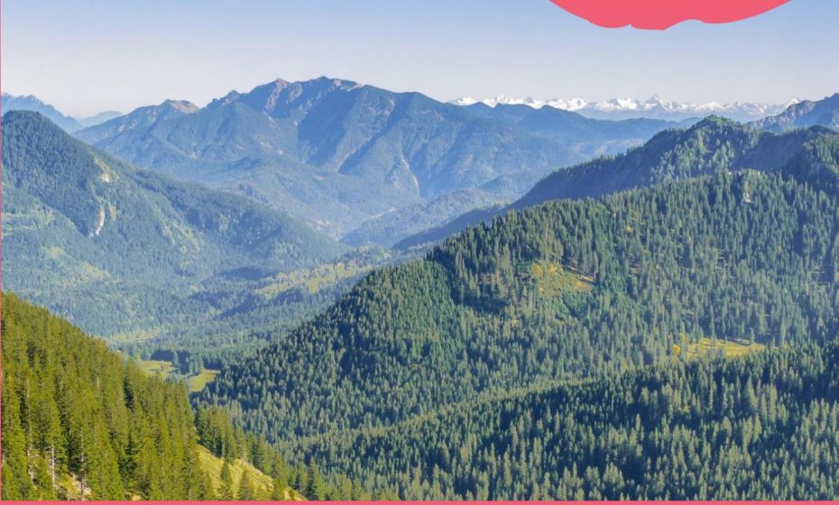 Ferienwohnung Drachennest mit Sonnenterrasse Ferienwohnung Drachennest mit Sonnenterrasse