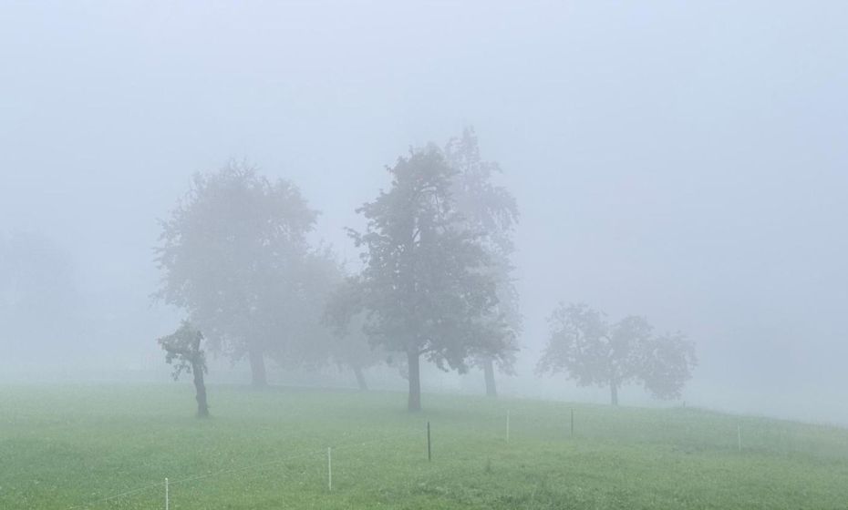 Auszeit mit Weitblick! Ankommen & Loslassen