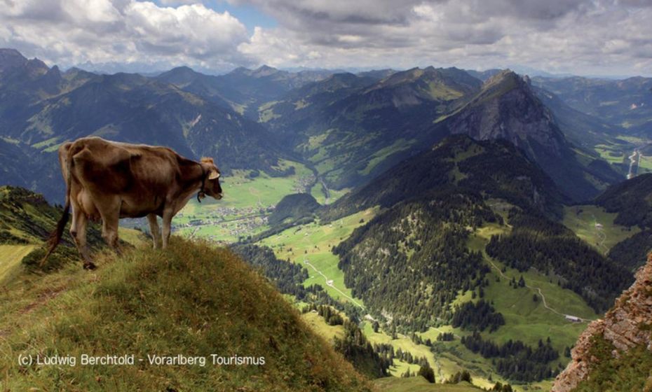 Ferienwohnung Düns4 Ferienwohnung Düns4