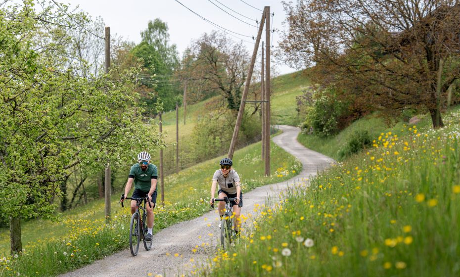 Gravelbike Dornbirn Gravelbike Dornbirn