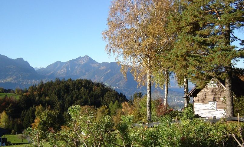 Ferienhaus "Zimbablick" - Heinzle Ãbersaxen