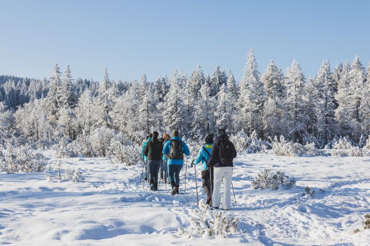Winterwandern BÃ¶dele